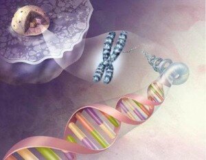 Опасность ТОРЧ-инфекций для беременных