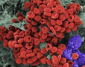 Норма имунного статуса