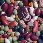 Россыпь фасоли и гороха