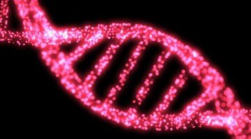 Всё о талассемии