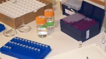 Анализ крови HCV: ранняя диагностика гепатита С