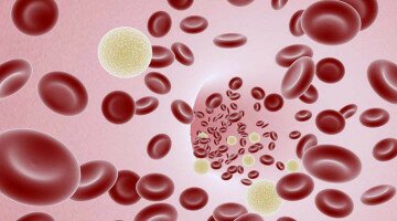 Повышение эозинофилов в анализе крови у ребёнка